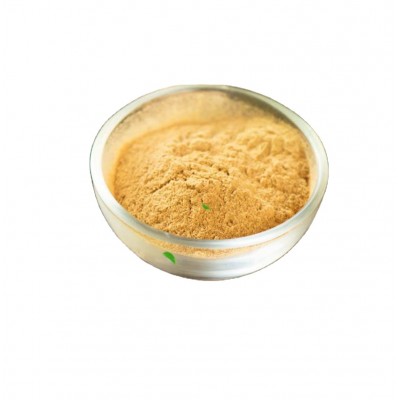 aquar Water Soluble Dried Ginger Powder