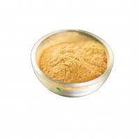 aquar Water Soluble Dried Ginger Powder