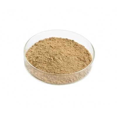 Soybean Extract,soybean isoflavones extract powder,organic 40% soy isoflavones