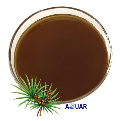 USP41 Saw Palmetto Extract Saw Palmetto Oil