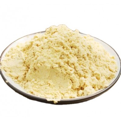 Hot Sale Organic Ginger Root Extract Powder Gingerol (Water Soluble )