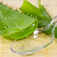 Aloe Vera Gel Freeze Dried Powder food grade / cosmetic grade