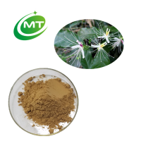 Natural organic Caper Extract Powder/Free sample Caper Extract powder 12:1