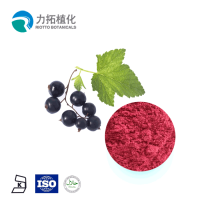 Freeze-Dried Fruit Flavor Blackcurrant juice powder