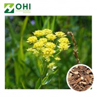 Pure bupleurum extract saikosaponins root powder