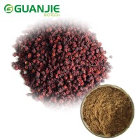 High Quality Schizandra Extract/Schisandra Chinensis extract 9% deoxyschizandrin