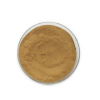 Free sample soybean fermentation extract powder