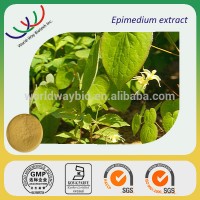 Free sample !sex power epimedium sagittatum extract, natural epimedium icariin barrenwort extract