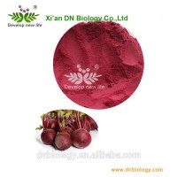 red beet root powder 100% purity 0.3%~0.8% betanin / red beet root juice powder/red beet root powder