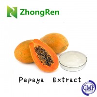 GMP Manufacture Natural Papaya Seed Extract Papain Powder