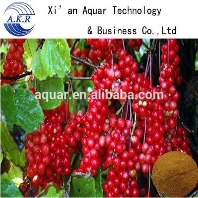 Chinese herbal Schisandra chinensis extract Hepatitis medicine