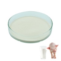 Increasing feed intake pig milk powder aroma