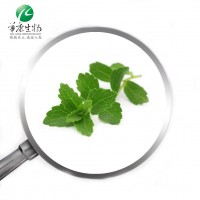 Factory supply 100% Natural Stevia extract 90% /95% stevioside