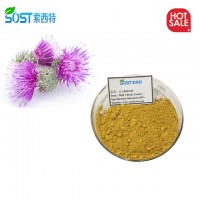 SOST Kosher Organic Approved Wholesale Bulk Silymarin 80% Milk Thistle Extract