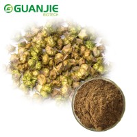 Manufactory supply high quality silybum marianum 80% silymarin milk thistle extract