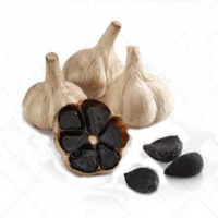 Top Quality Natural Plant Horse Chestnut 20% Black Garlic Seeds