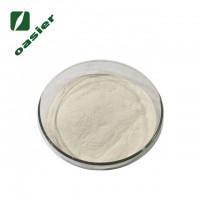 Hot-selling lemon fruit powder /lemon powder /lemon flavor powder