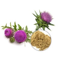 2020 hot sale Traditional Chinese medicine liver-protecter 80% Silymarin Milk Thistle Extract,Milk Thistle Extract powder